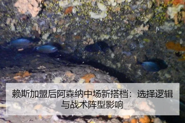 lai-si-jia-meng-hou-a-sen-na-zhong-chang-xin-da-dang-xuan-ze-luo-ji-yu-zhan-shu-zhen-xing-ying-xiang-2-655.jpg