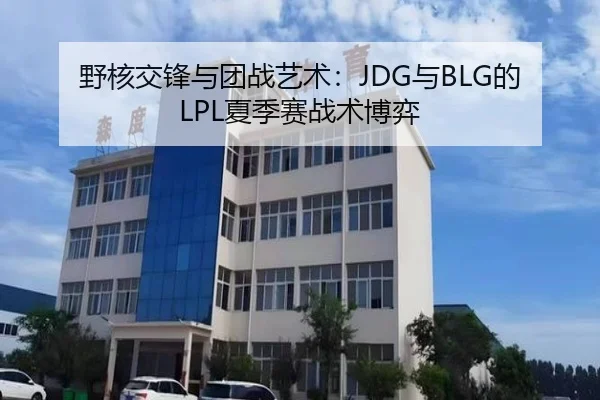 野核交锋与团战艺术：JDG与BLG的LPL夏季赛战术博弈