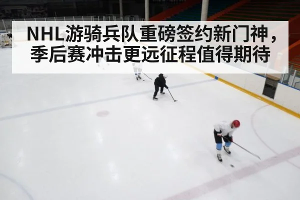 ice hockey rink